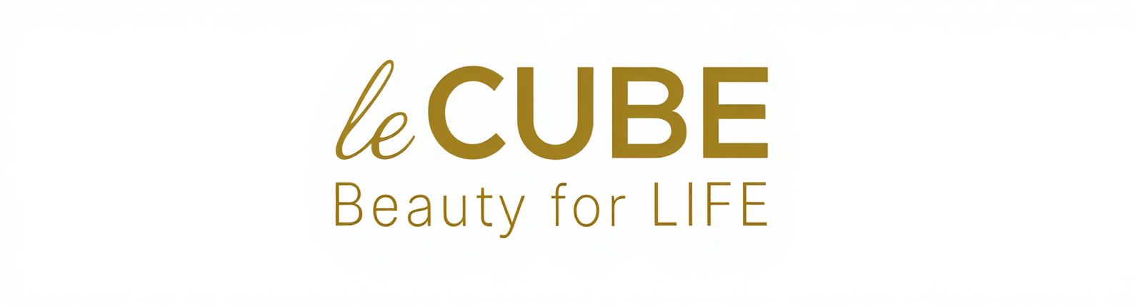 LE CUBE